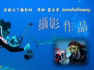 英 國 水下 攝 影 師 澤 娜 · 霍洛 韋 zenaholloway