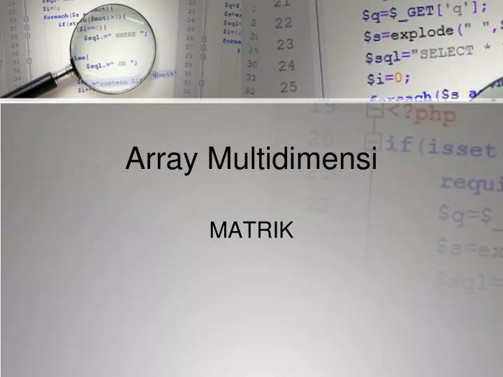array multidimensi