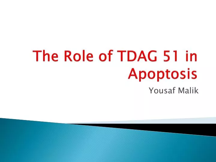 the role of tdag 51 in apoptosis