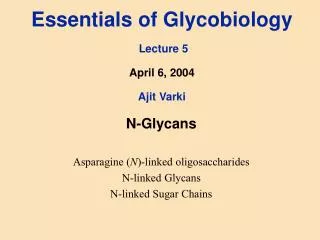Essentials of Glycobiology Lecture 5 April 6, 2004 Ajit Varki