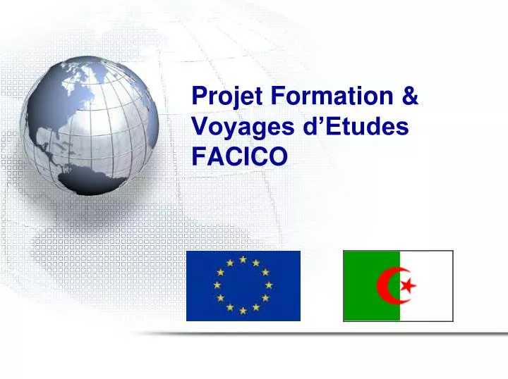 projet formation voyages d etudes facico