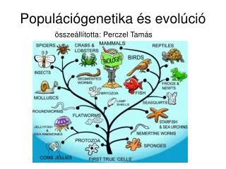 popul ci genetika s evol ci