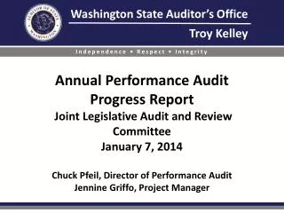 Performance audit background