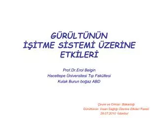 g r lt n n tme s stem zer ne etk ler