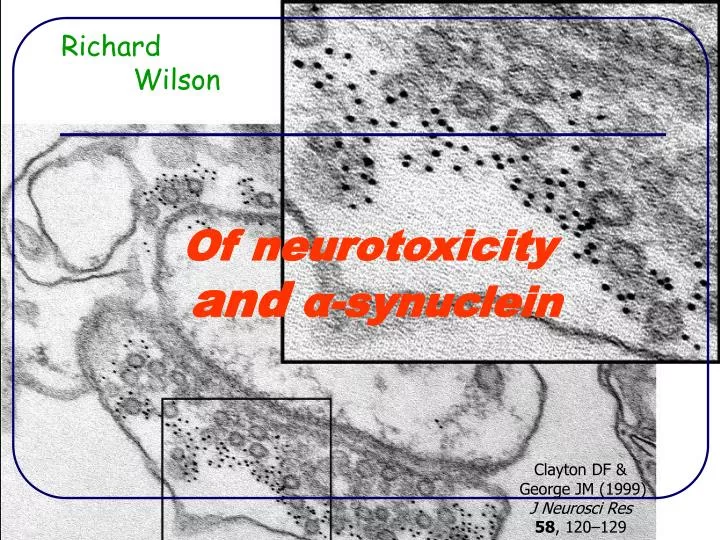 of neurotoxicity and synuclein