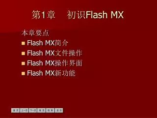 1 flash mx