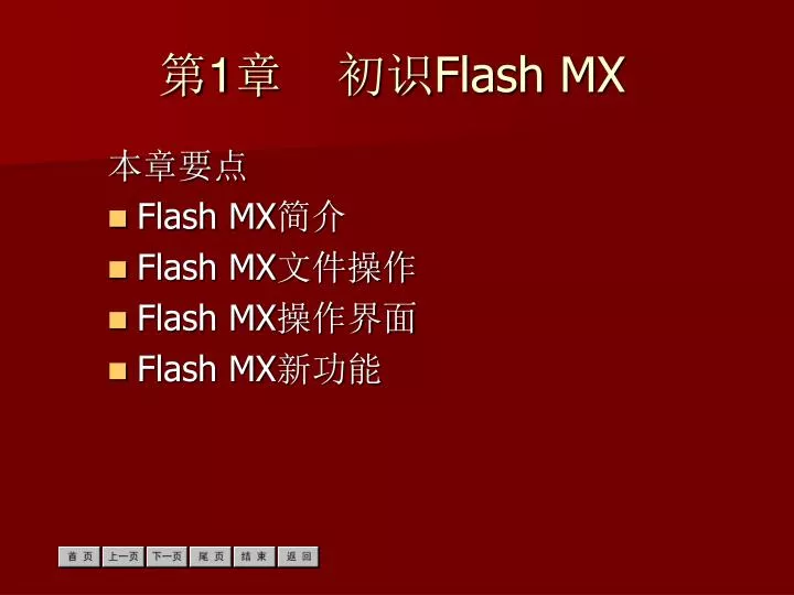 1 flash mx