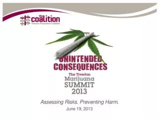 Assessing Risks. Preventing Harm. June 19, 2013