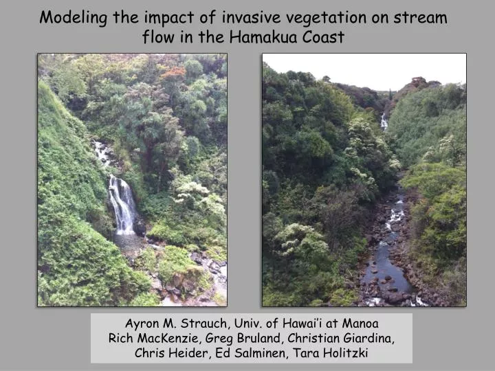modeling the impact of invasive vegetation on stream flow in the hamakua coast
