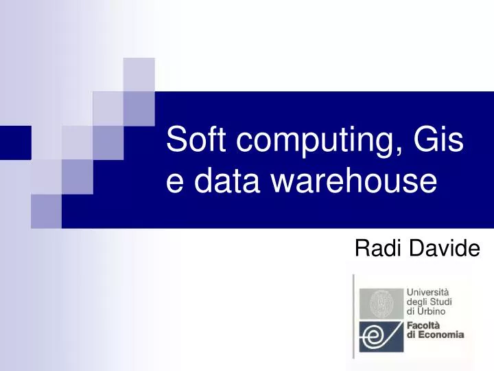 soft computing gis e data warehouse