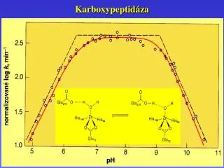 karboxypeptid za