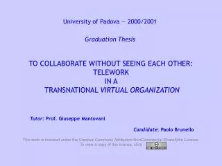 to collaborate without seeing each other telework in a transnational virtual organization