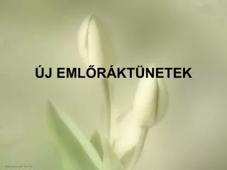 j eml r kt netek