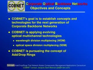 C orporate O ptical B ackbone Net works