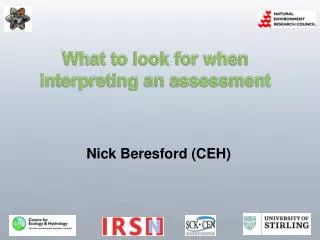 What to look for when interpreting an assessment