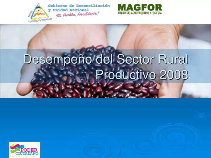 desempe o del sector rural productivo 2008