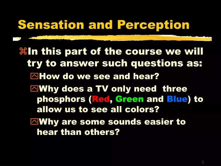 sensation and perception