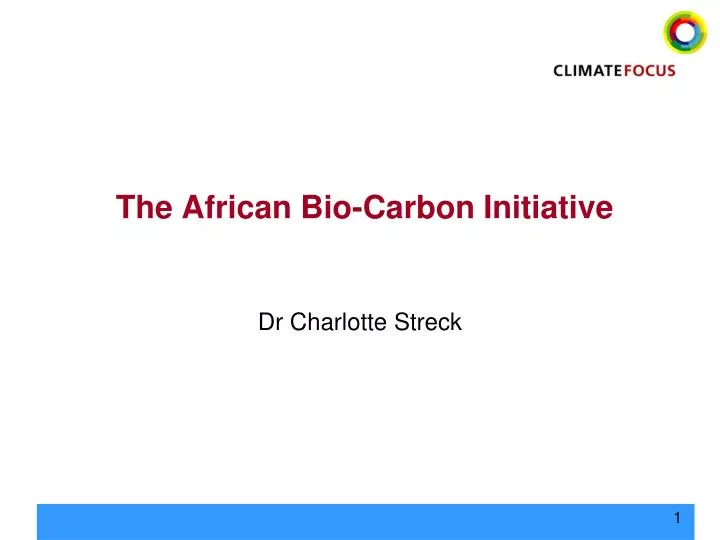 the african bio carbon initiative