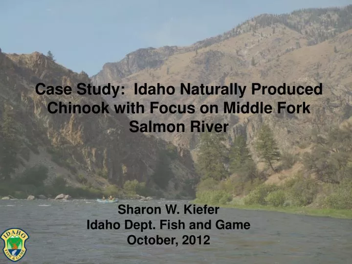 case study idaho naturally produced chinook with focus on middle fork salmon river