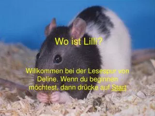 wo ist lilli