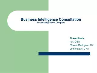 Business Intelligence Consultation for Amazing Travel Company