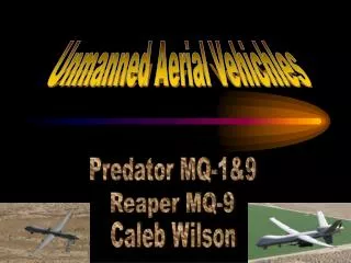 Unmanned Aerial Vehichles