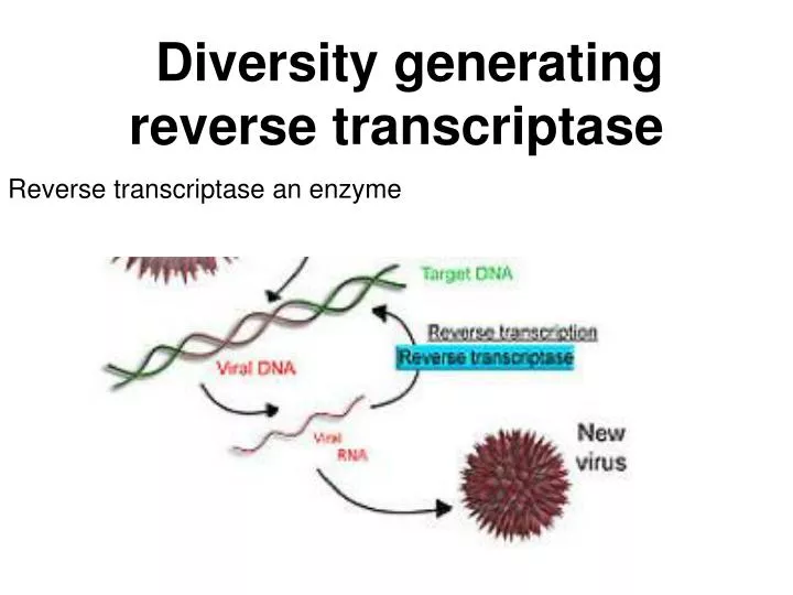 diversity generating reverse transcriptase