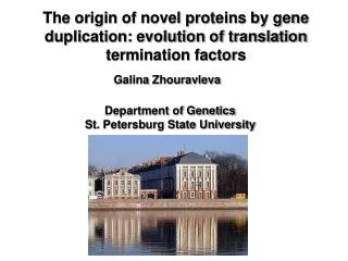 The origin of novel proteins by gene duplication: evolution of translation termination factors