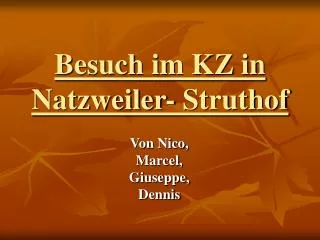 Besuch im KZ in Natzweiler- Struthof