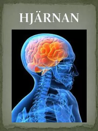 hj rnan