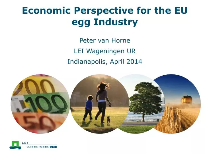 economic perspective for the eu egg industry