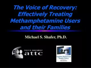 The Voice of Recovery: Effectively Treating Methamphetamine Users and their Families