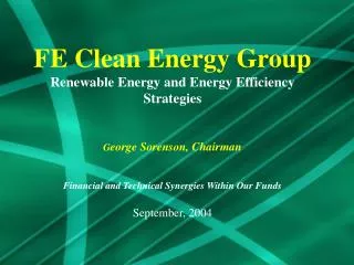 FE CLEAN ENERGY GROUP The Company