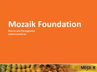 Mozaik Foundation Bosnia and Herzegovina mozaik.ba