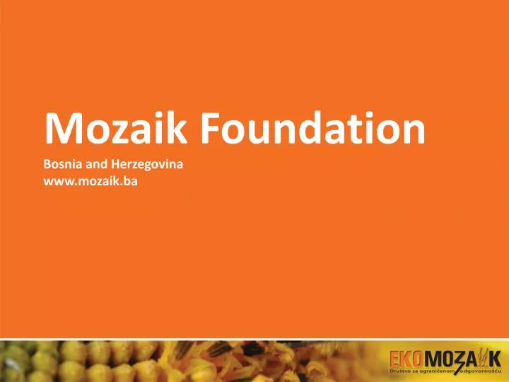 mozaik foundation bosnia and herzegovina www mozaik ba