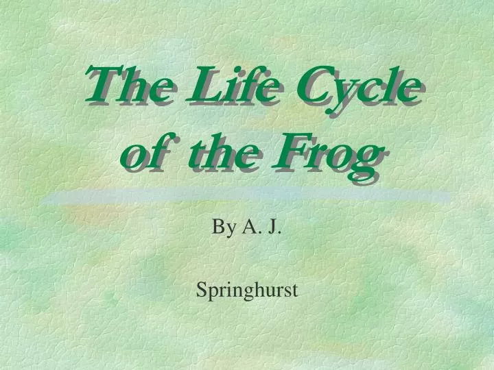 the life cycle of the frog