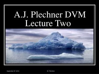 A.J. Plechner DVM Lecture Two