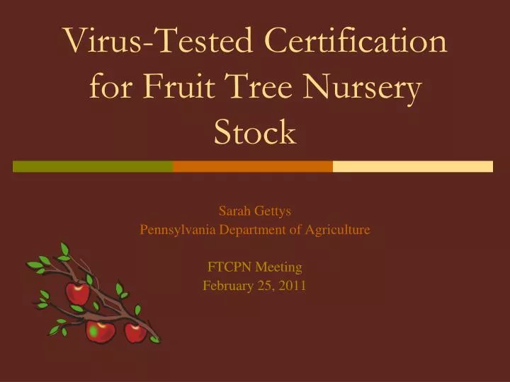 virus tested certification for fruit tree nursery stock