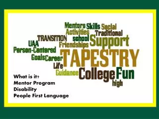 What is it? Mentor Program Disability People First Language