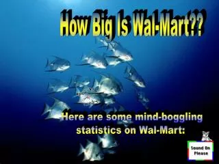 How Big Is Wal-Mart??