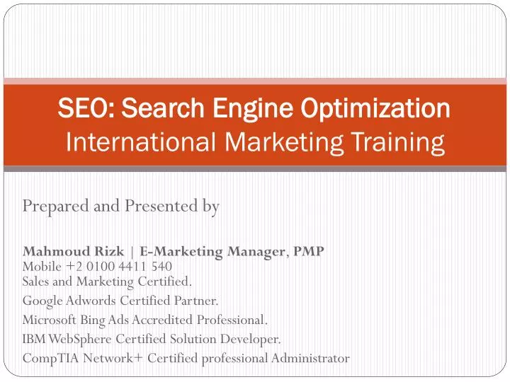 seo search engine optimization international marketing training
