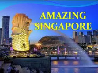 AMAZING SINGAPORE