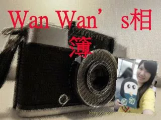 wan wan s
