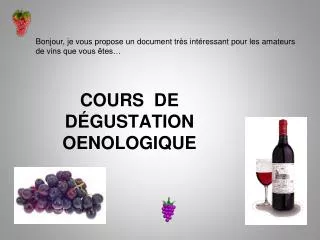 cours de d gustation oenologique
