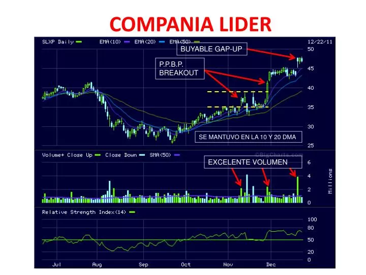 compania lider