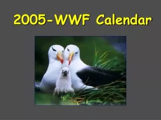 2005-WWF Calendar