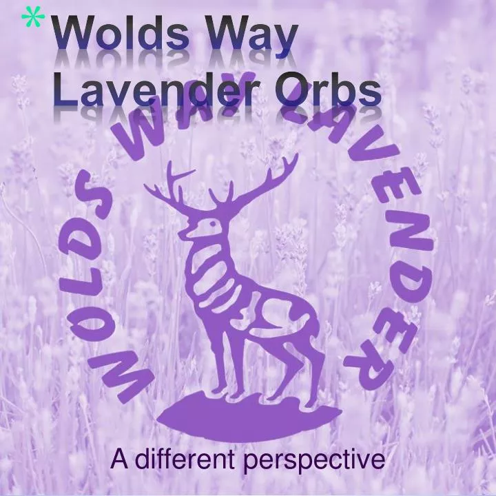wolds way lavender orbs