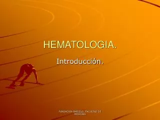 hematologia