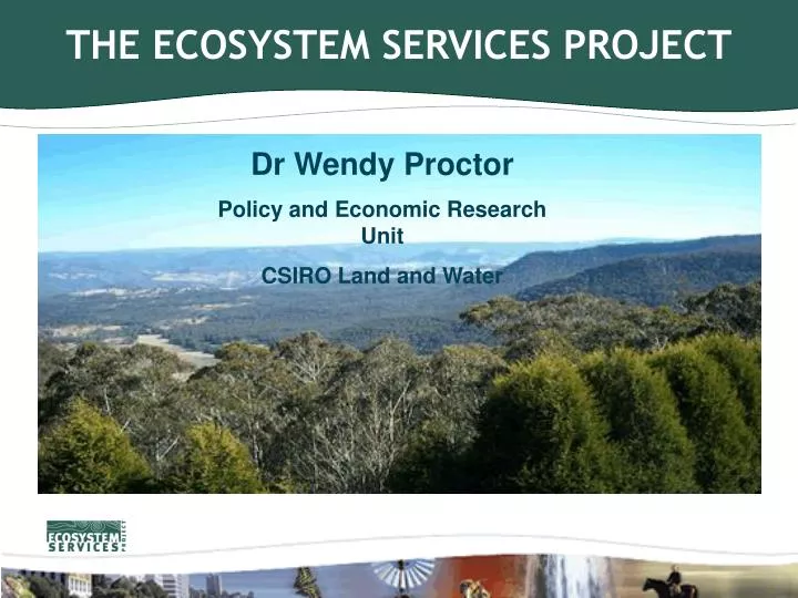 the ecosystem services project