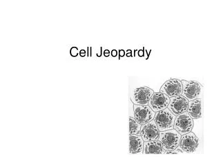 Cell Jeopardy